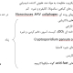 عوامل مؤثر بر گندزدایی و غیرفعال کردن میکروبی