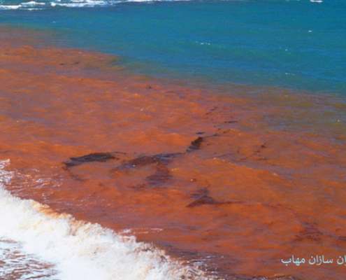 red tide ارتمیا کاهش red tide عمران سازان مهاب